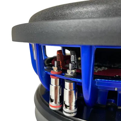 Gs Audio Platinum 10" V2