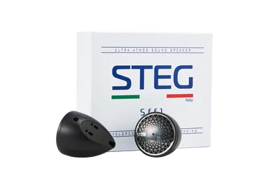 STEG SFF1 - AMT fullregister