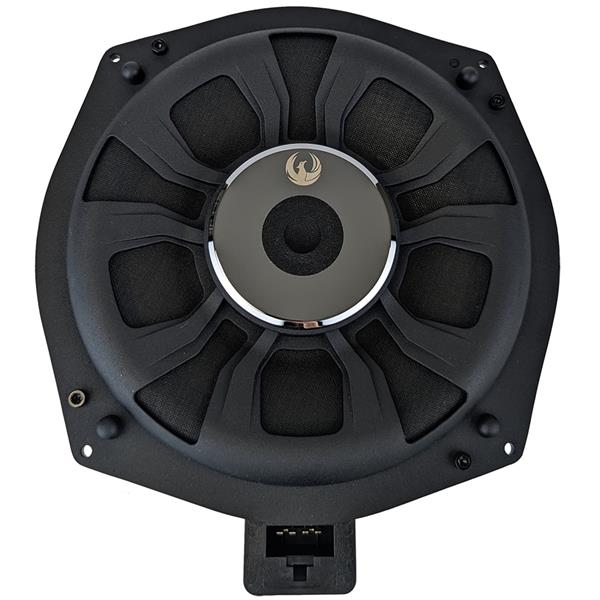 Phoenix Gold ZDSB200S 8-tums BMW-subwoofer framifrån