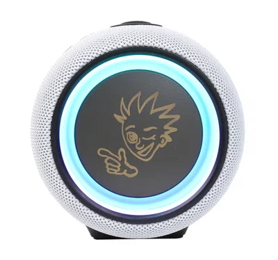 PEXMAN PM-10W – portabel Bluetooth-högtalare med stereolänk
