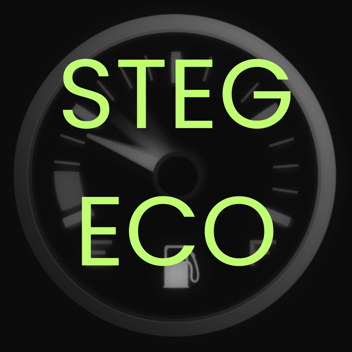 STEG - ECO