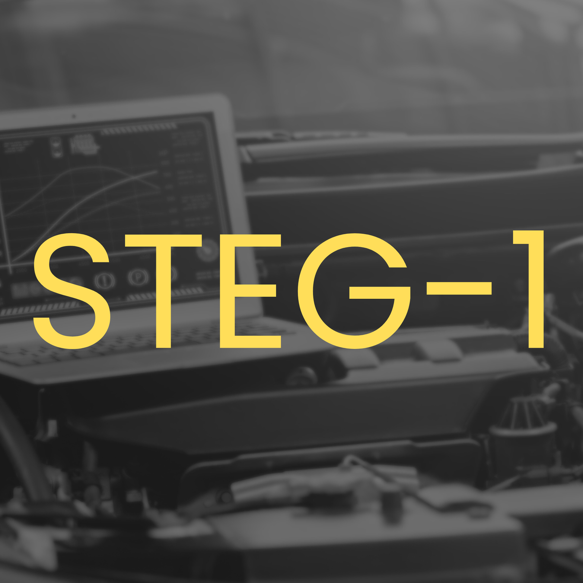 STEG - 1