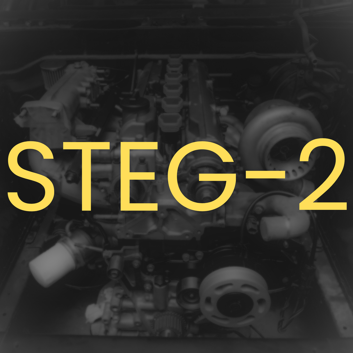 STEG - 2