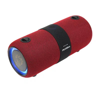PEXMAN PM-10R – portabel Bluetooth-högtalare med stereolänk