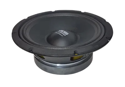 GS Audio PL-204 8" FLAT