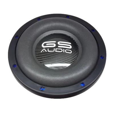 Gs Audio Platinum 10"