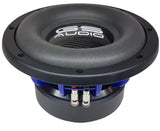 Gs Audio Platinum 10"