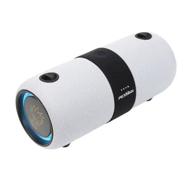 PEXMAN PM-10W – portabel Bluetooth-högtalare med stereolänk