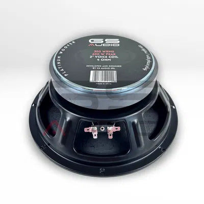 GS Audio Platinum FLAT MK2 10"